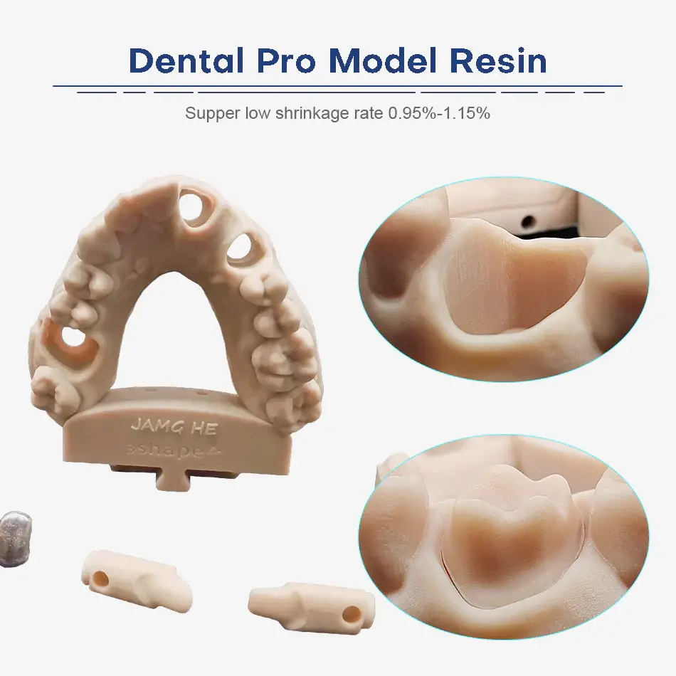 pro model resin dental pro model