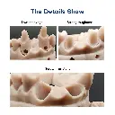 dental resin.webp