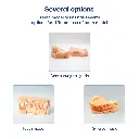 dental resin-2.webp
